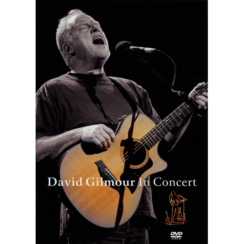 GILMOUR, DAVID - DAVID GILMOUR IN CONCERT -DVD-DAVID GILMOUR IN CONCERT -DVD-.jpg